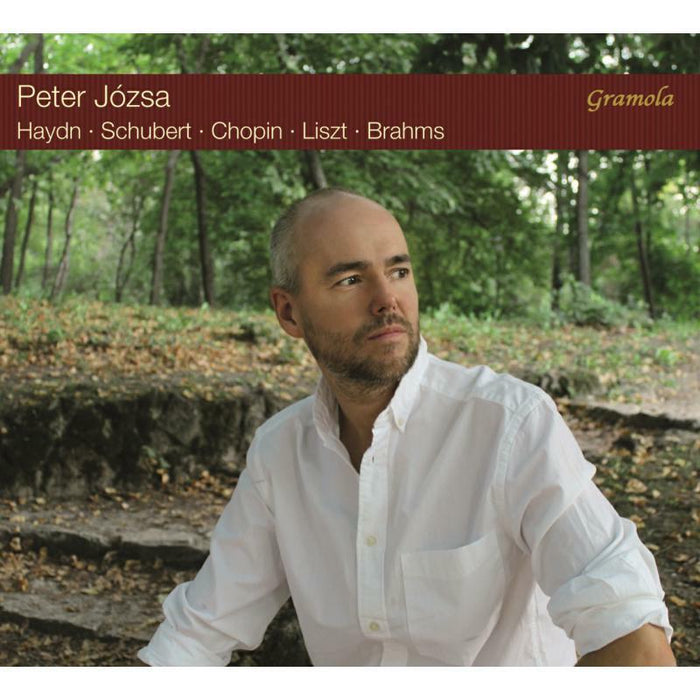 Peter Jozsa - Péter Józsa: Portrait - 99213