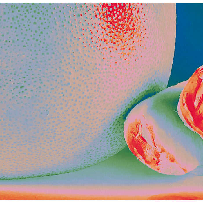 Citrus Citrus - Albedo Massima - LP25810