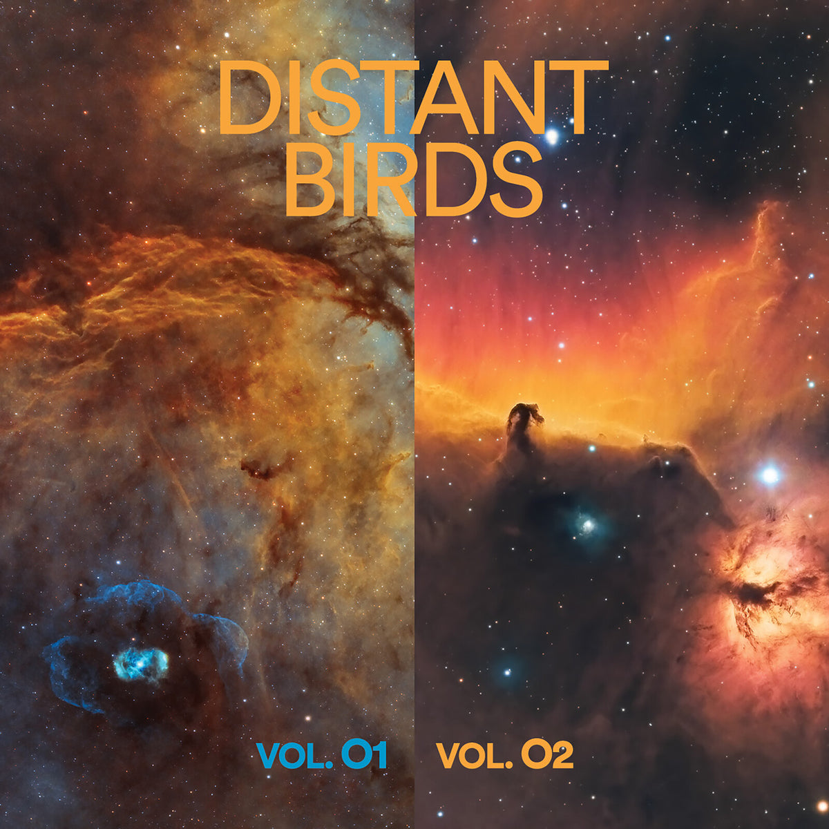 Distant Birds - VOL. 01 & 02 - EAR107