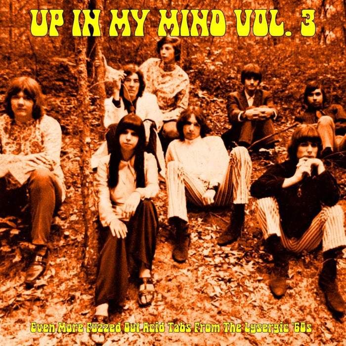 Various Artists - Up In My Mind Volume 3 - MCR003