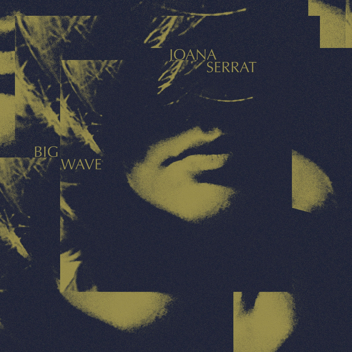 Big Wave by Joana Serrat on Goldrush Records