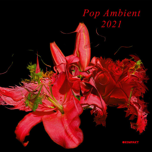 Various Artists - Pop Ambient 2021
