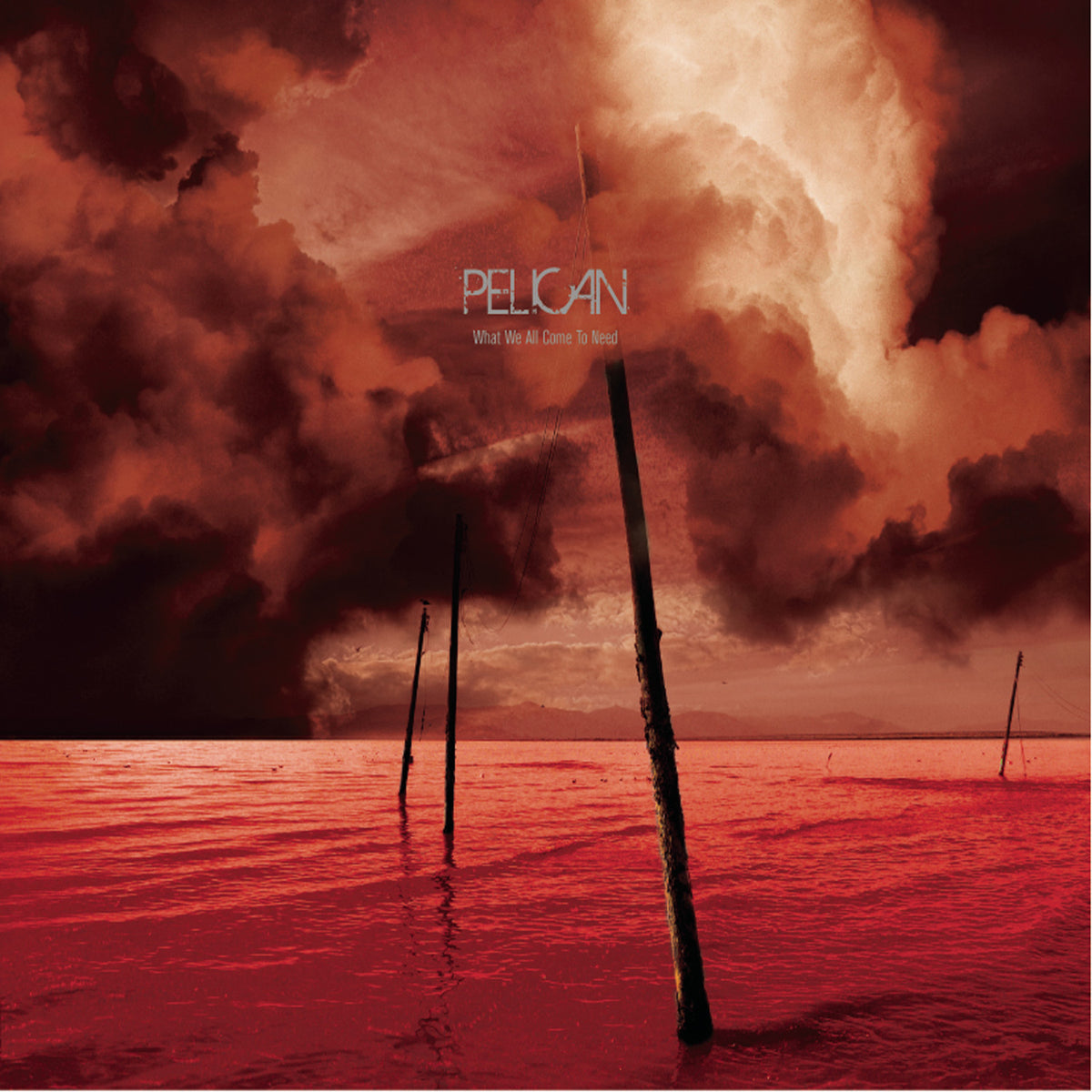 What We All Come To Need