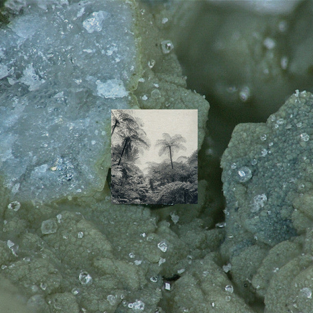 Wide Awake - Alienation Effects