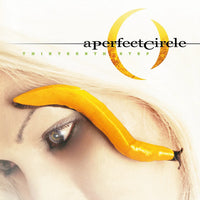A Perfect Circle - Thirteenth Step - 