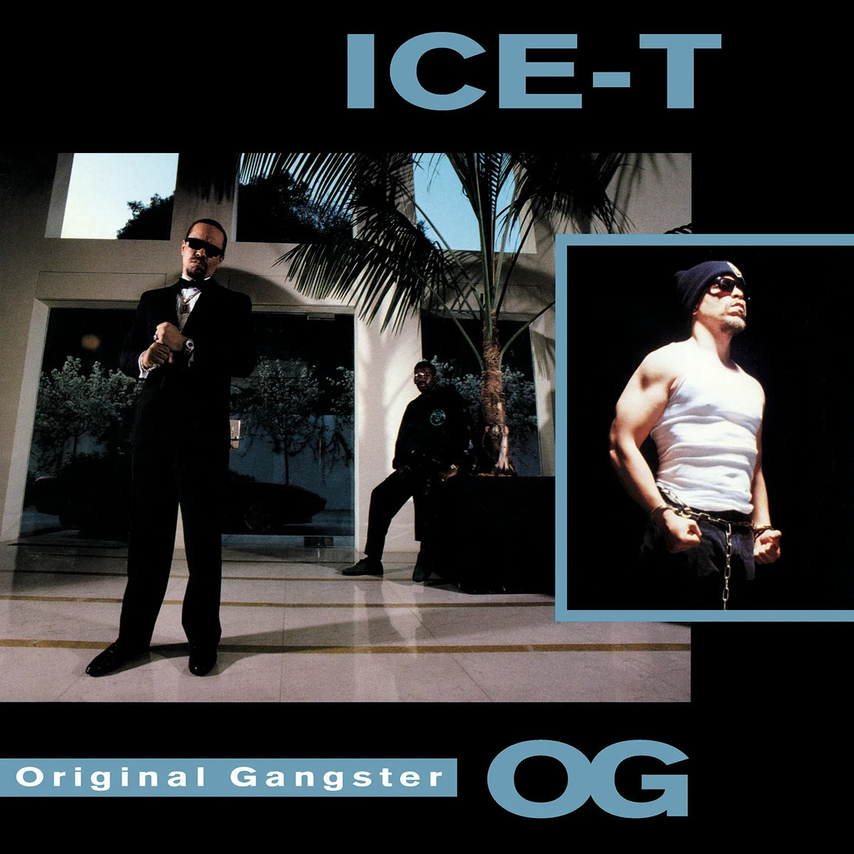 Ice-T - O.G. Original Gangster - 
