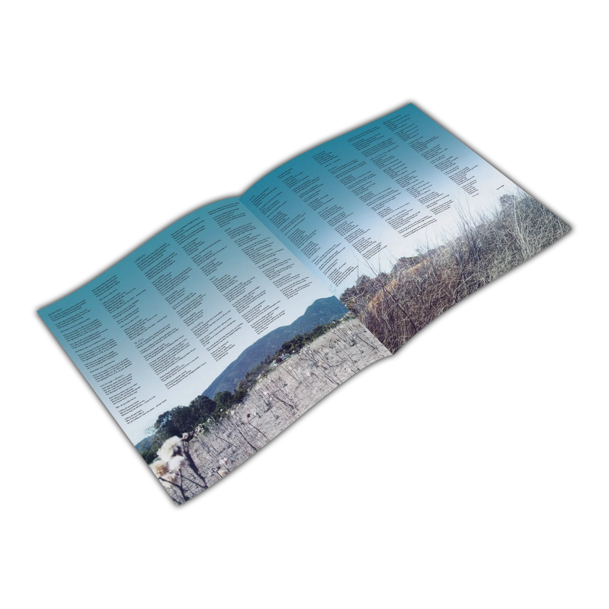 Morissette, Alanis: Havoc And Bright Lights - MOVLP2588T