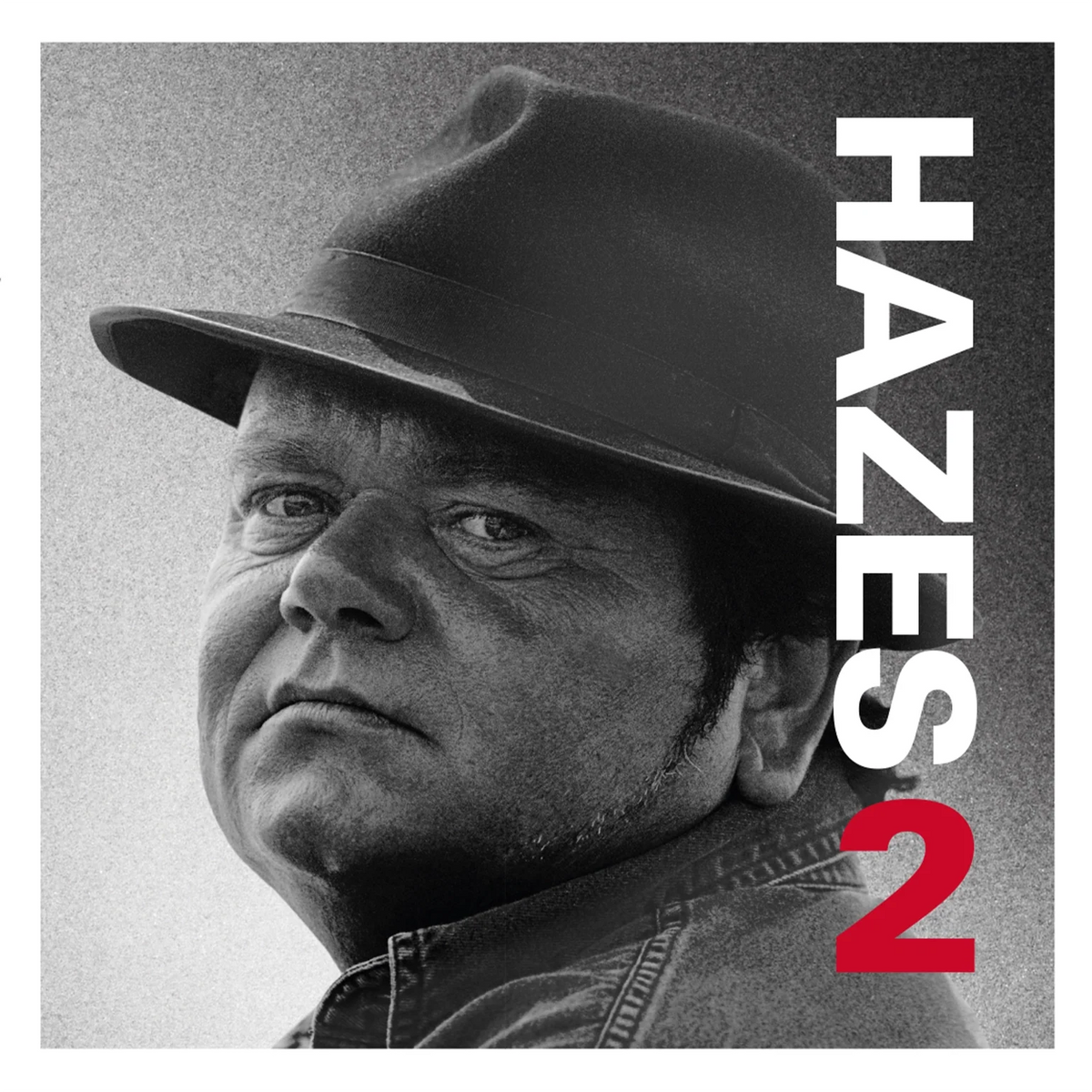 Andre Hazes: Hazes 2 - MOVLP2881