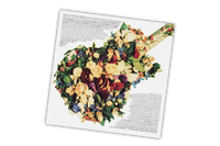 Dave Stewart And The Spiritual Cowboys: Honest - MOVLP3347C