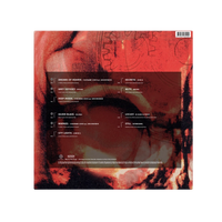 Grooverider: Grooverider Presents The Prototype Years - MOVLP3401C