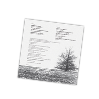 Wilson, Bobby: I'Ll Be Your Rainbow - MOVLP3637C