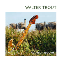 Walter Trout: Common Ground - MOVLP3950C