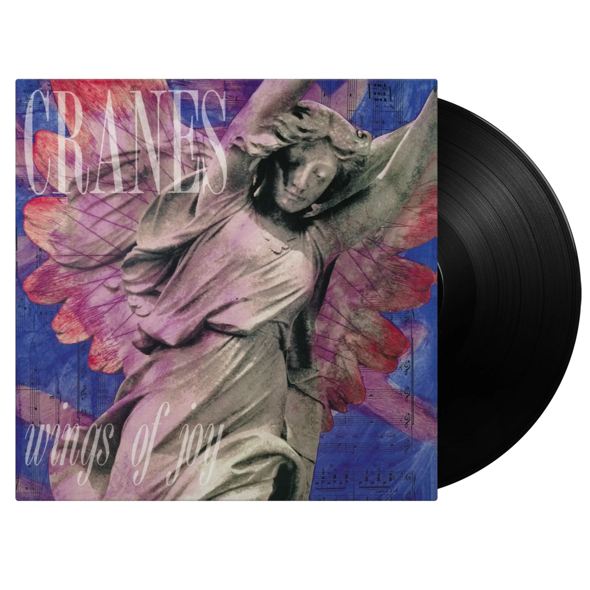 Cranes: Wings Of Joy - MOV4014