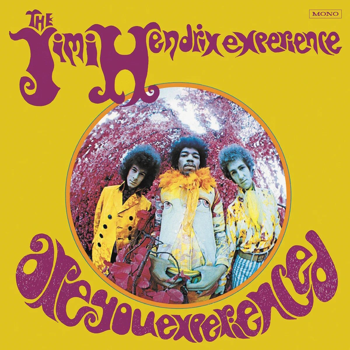 Jimi Hendrix Experience: Are You Experienced - MOVLP724