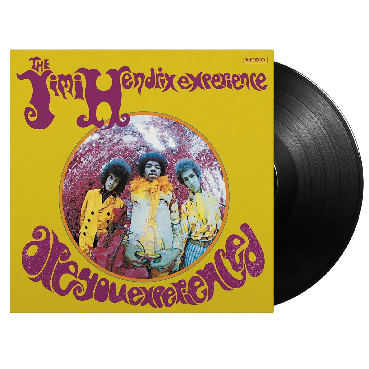 Jimi Hendrix Experience: Are You Experienced - MOVLP724