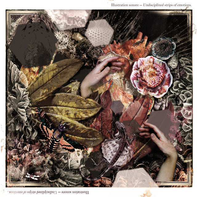 Illustration Sonore - Undisciplined Strips Of Emotions