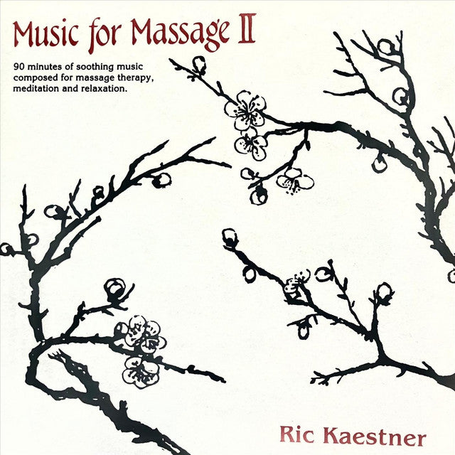 Ric Kaestner - Music For Massage Ii