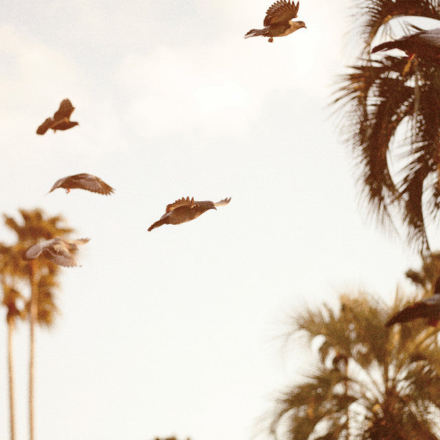 Motohiko Hamase - Intaglio