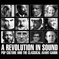 ACME357CDX - A Revolution In Sound Pop Culture And The Classical Avant-garde - Various Artists