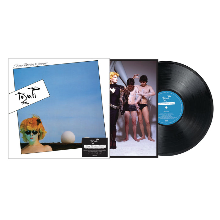 BRED825X - Sheep Farming In Barnet - Toyah