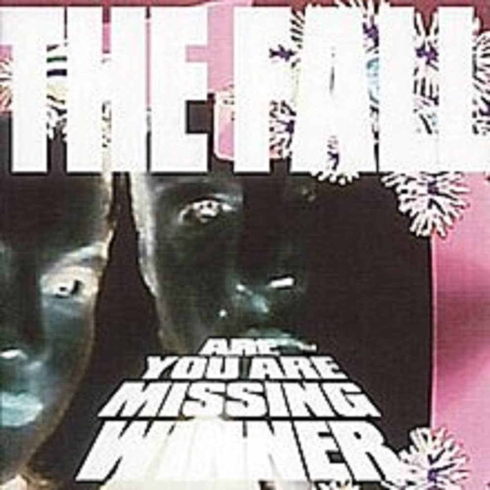 CDEXRED834 - Are You Are Missing Winner - The Fall