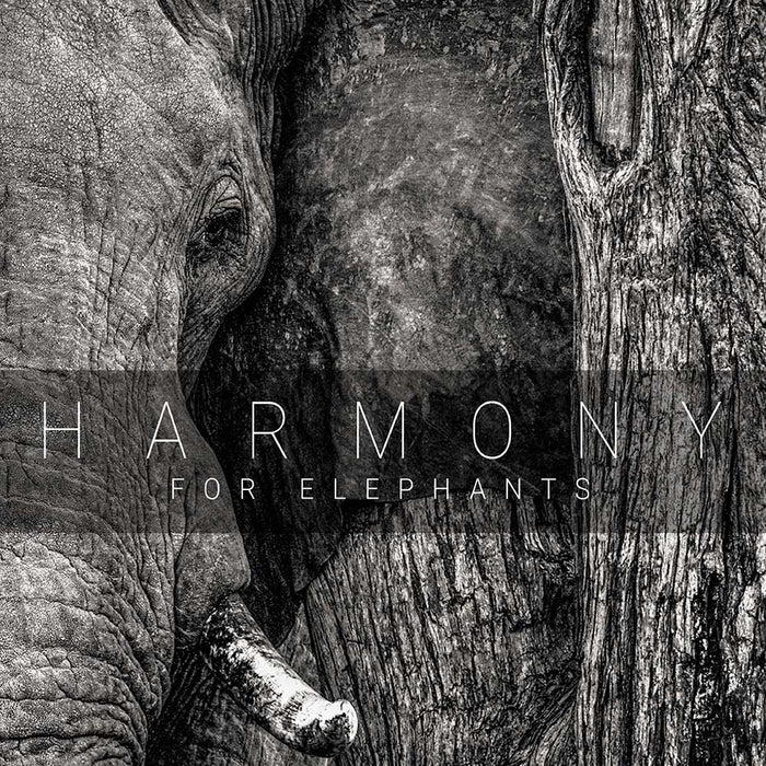 EANTCD1064 - Harmony For Elephants - Various Artists