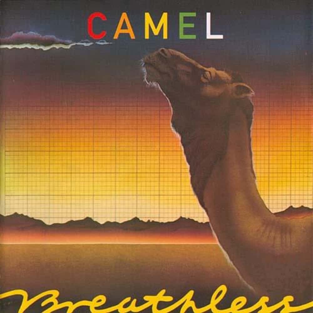 ECLEC2155 - Breathless - Camel