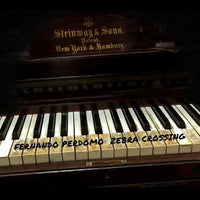 FMR028 - Zebra Crossing - Fernando Perdomo