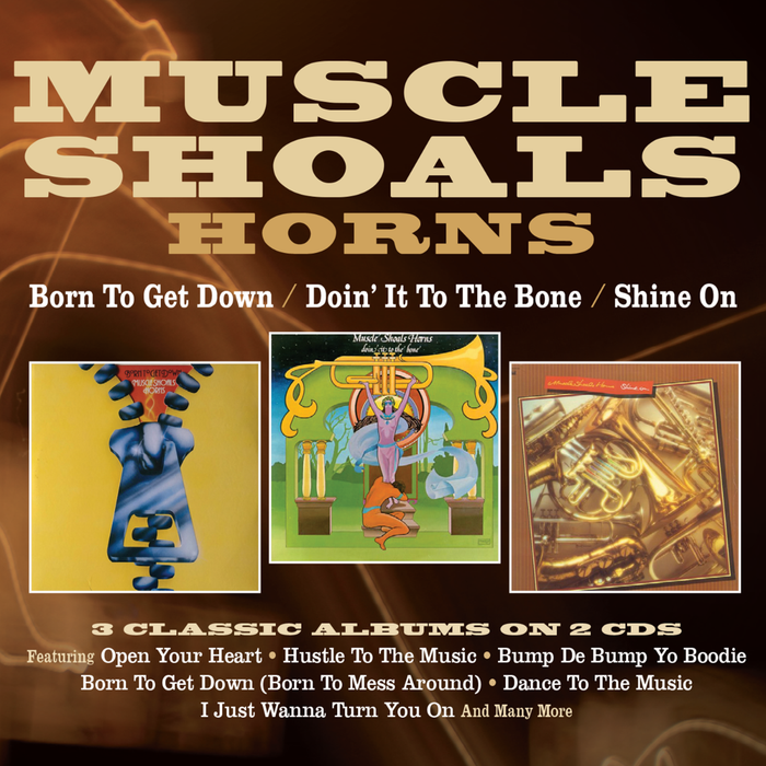 ROBIN69CDD - Born To Get Down/doin' It To The Bone/shine On Three Albums On 2cds - Muscle Shoals Horns