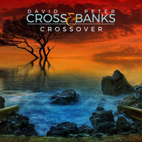 NOISY010 - Crossover - David Cross & Peter Banks