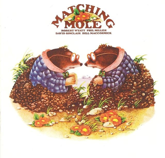 ECLEC22311 - Matching Mole - Matching Mole