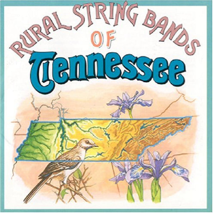 Various Artists: Rural Tennessee String Bands