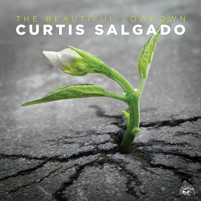 Curtis Salgado: The Beautiful Lowdown