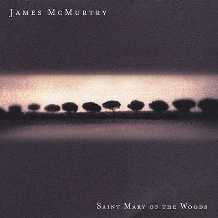 James McMurtry: Saint Mary Of The Woods