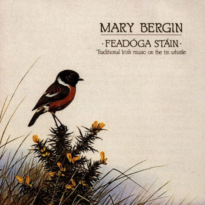 Mary Bergin: Feadoga Stain
