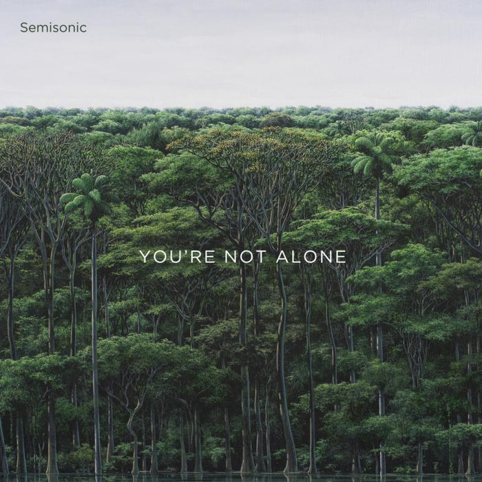 Semisonic: You're Not Alone EP (12)