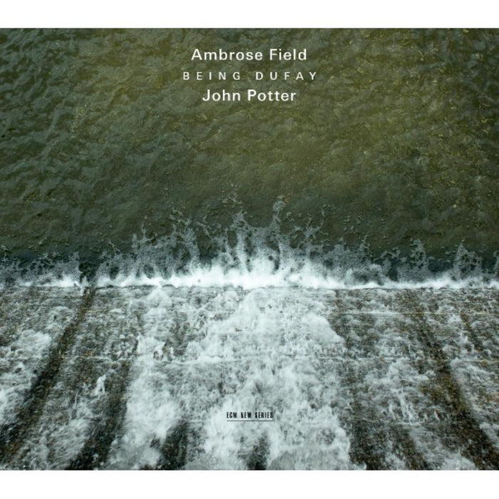 Ambrose Field & John Potter: Being Dufay