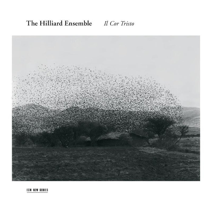 The Hilliard Ensemble: Il Cor Tristo - Roger Marsh, Bernardo Pisano & Jacques Arcadelt