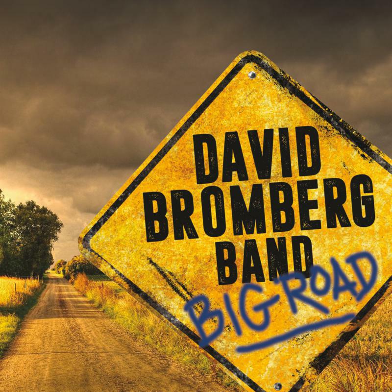 David Bromberg: Big Road (LP)