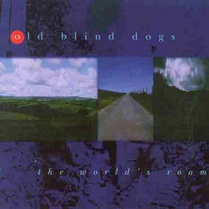 Old Blind Dogs: The World's Room
