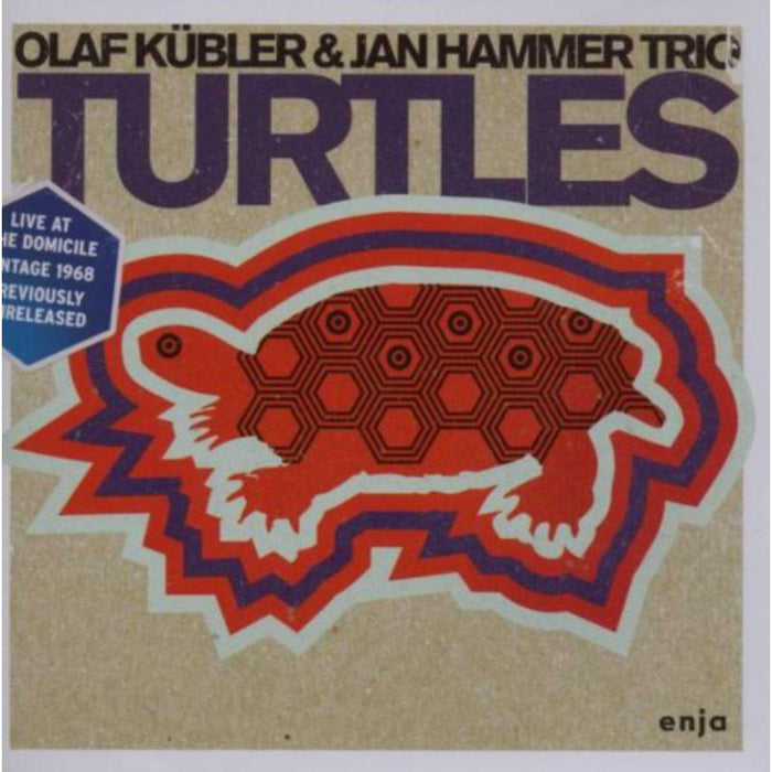 Olav Kuebler & Jan Hammer Trio: Turtles