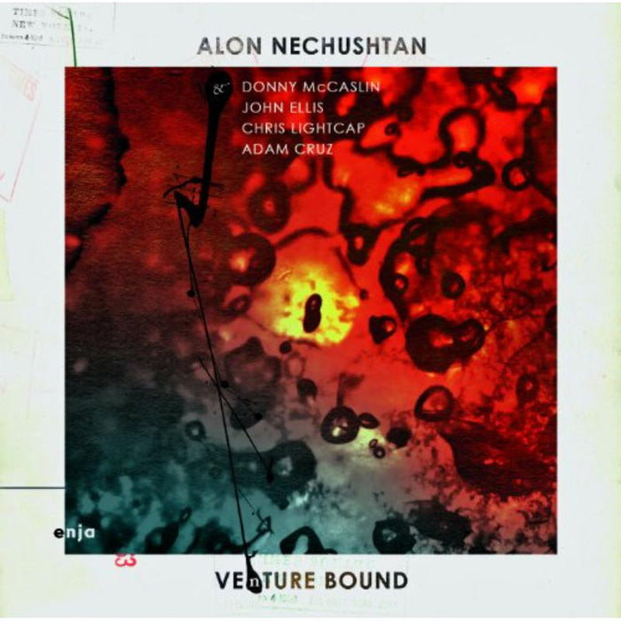 Alon Nechushtan: Venture Bound