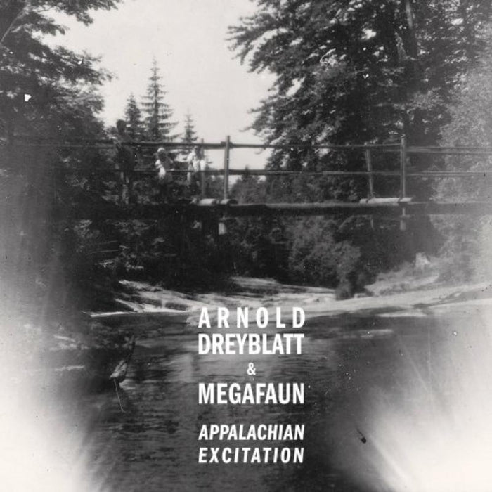 Arnold Dreyblatt & Megafaun: Appalachian Excitation