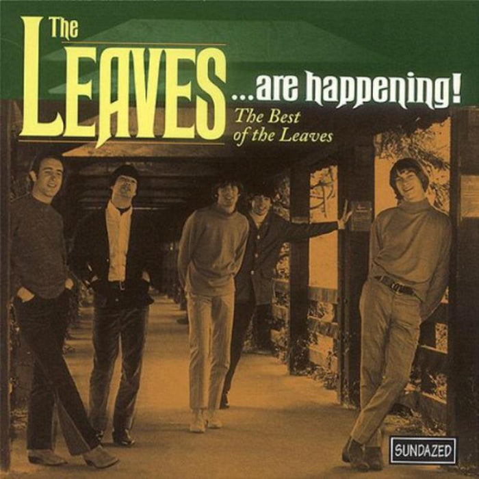The Leaves: The Leaves...Are Happening! The Best of The Leaves