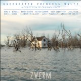 Zwerm  (Guitar Quartet): Underwater Princess Waltz
