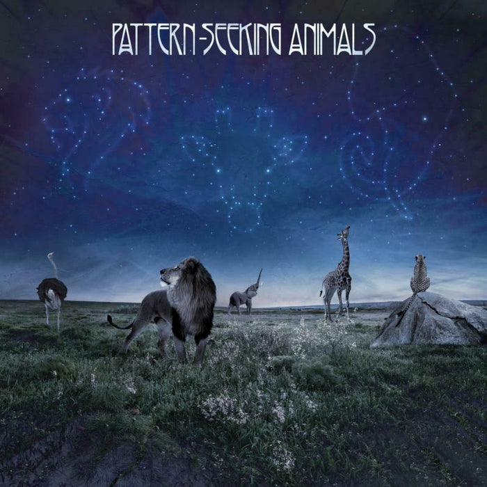 Pattern-Seeking Animals: Pattern-Seeking Animals (Gatefold Vinyl 2LP + CD)