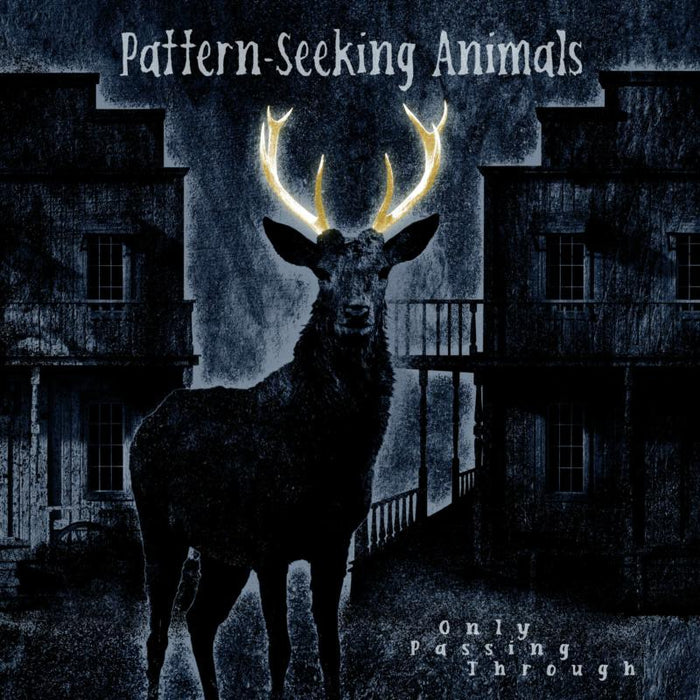 Pattern-Seeking Animals: Only Passing Through (Gatefold Black 2LP+CD)