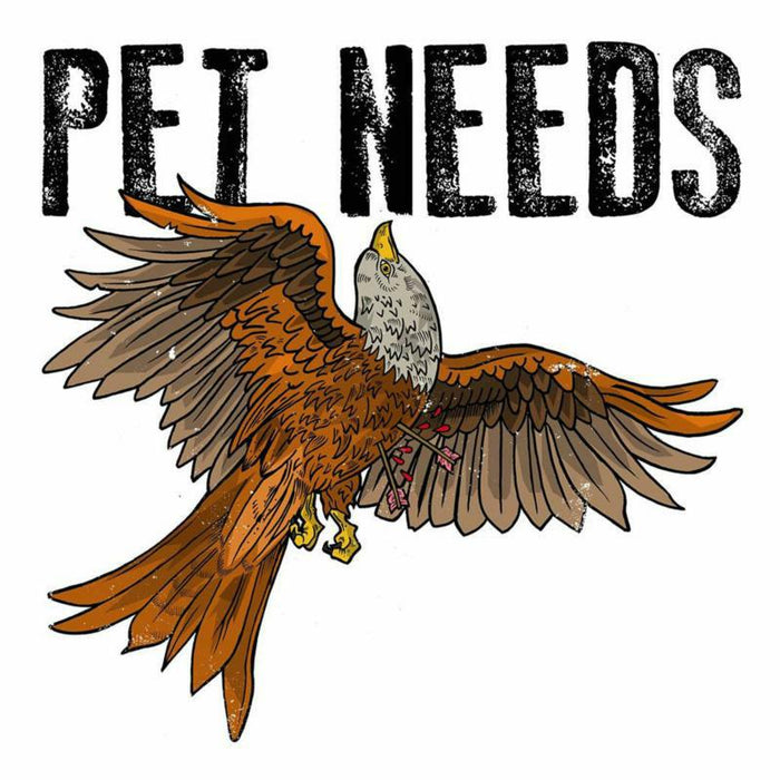 Pet Needs: Fractured Party Music (LP)