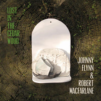Johnny Flynn & Robert MacFarlane: Lost In The Cedar Wood (LP)