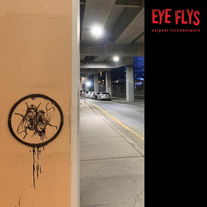 Eye Flys: Exigent Circumstance